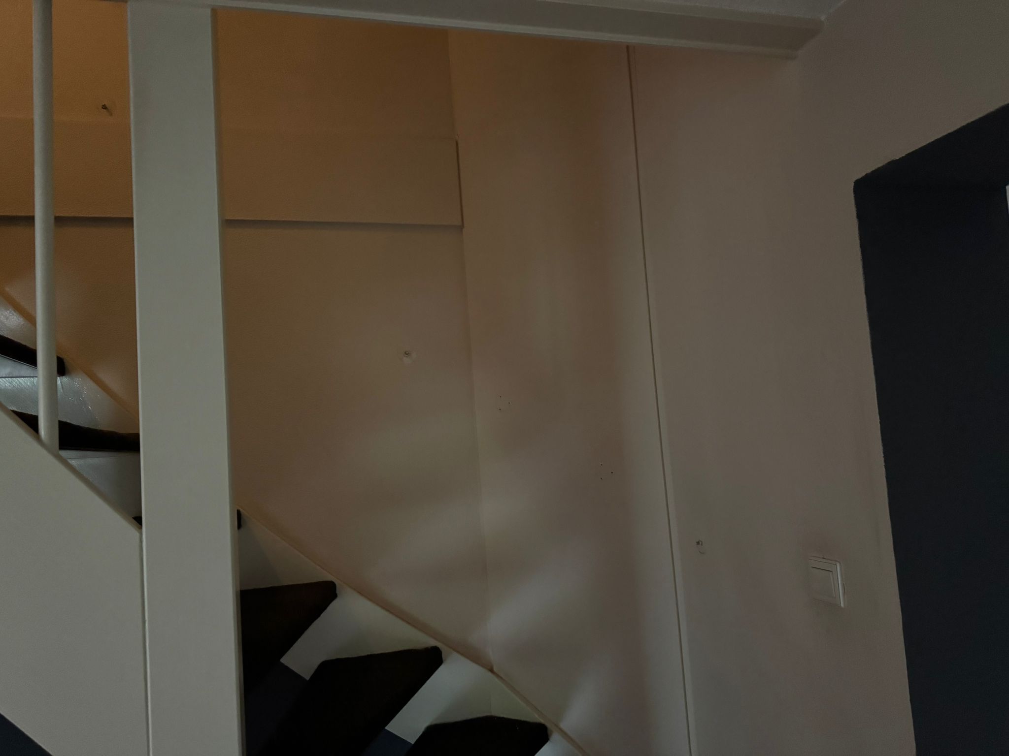 Buist Schilderwerken