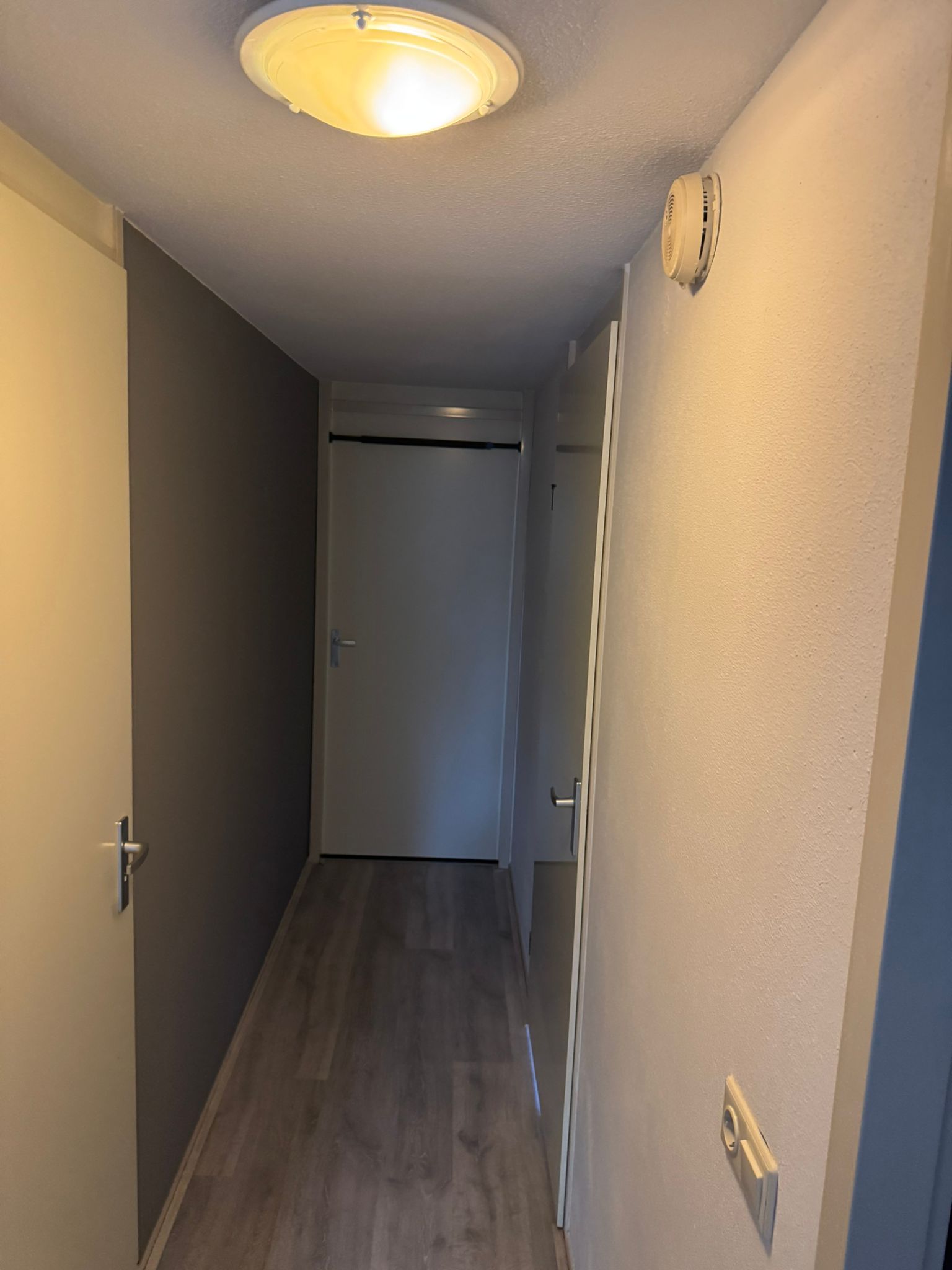 Buist Schilderwerken