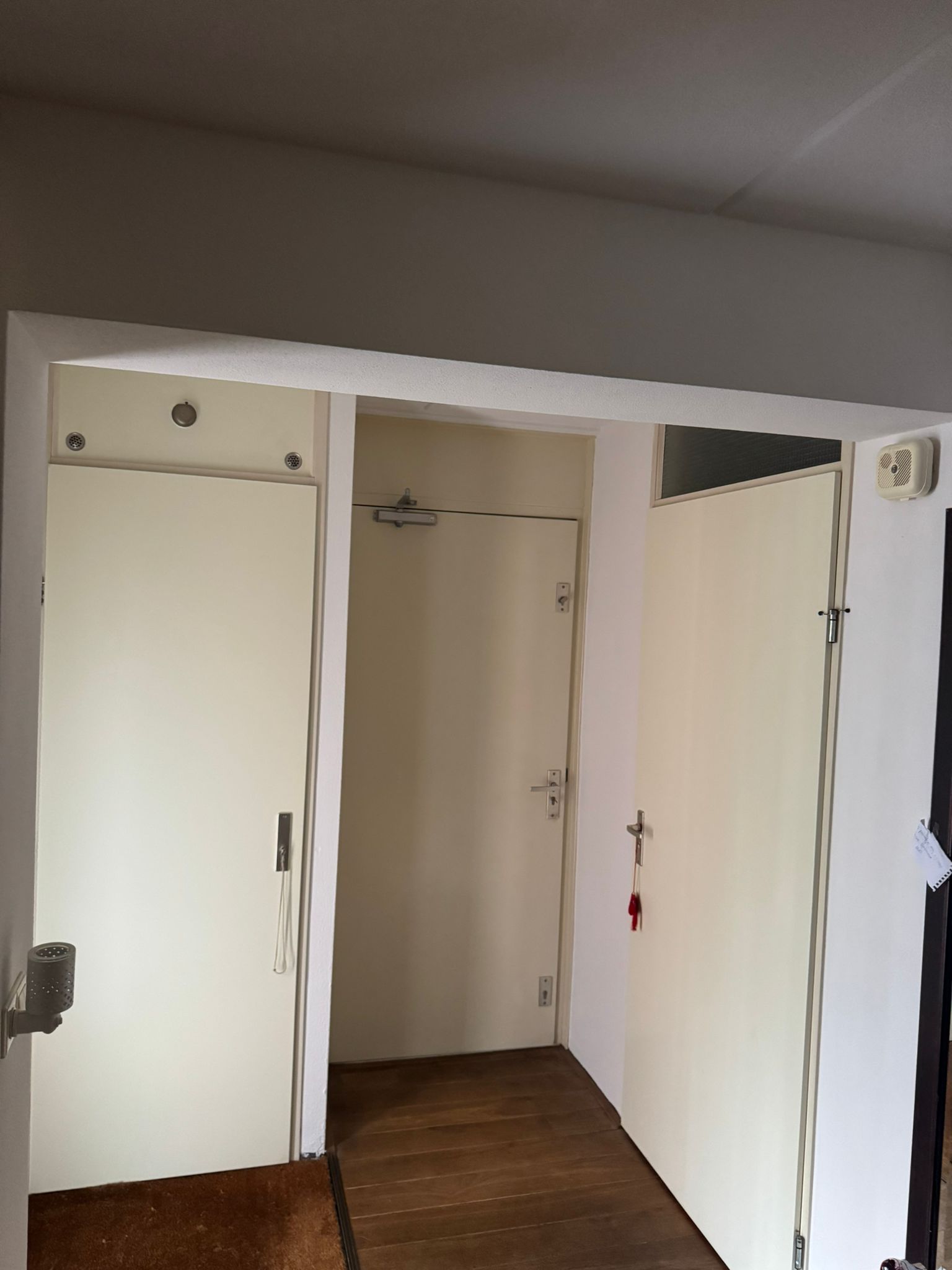 Buist Schilderwerken